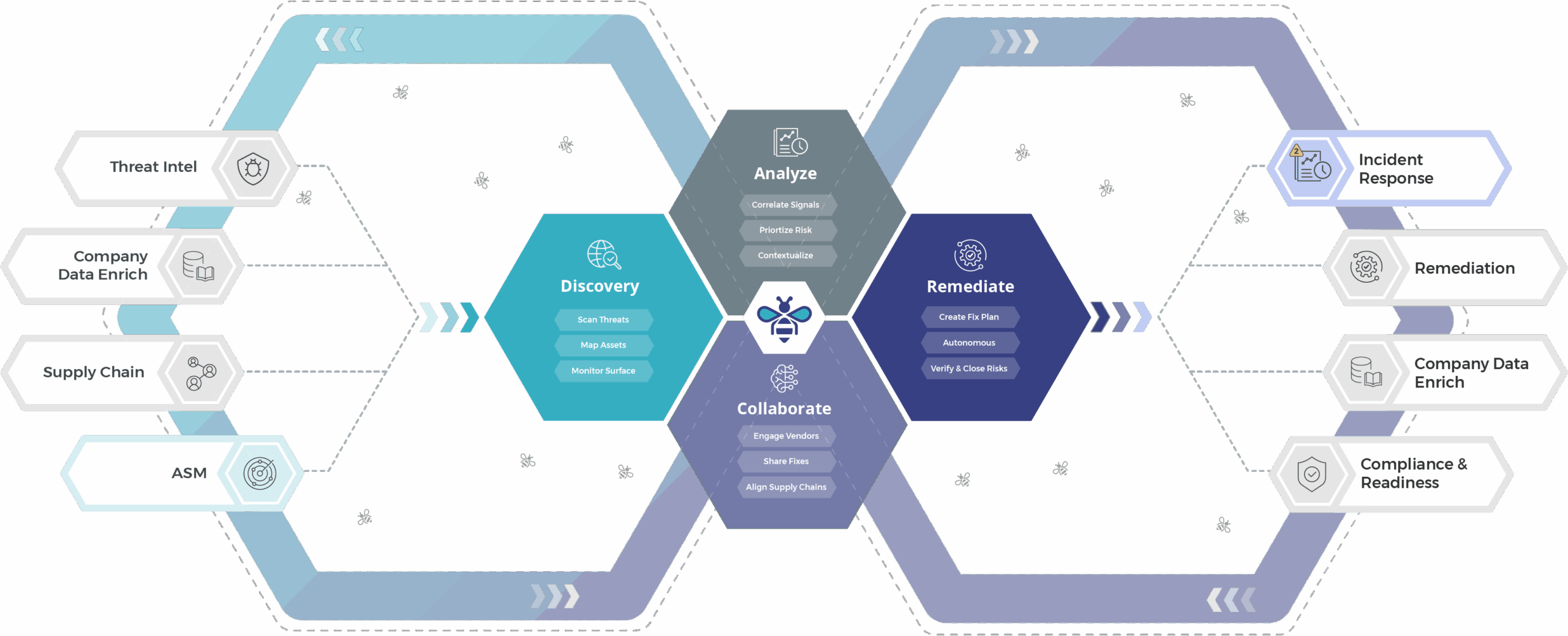 WiseBee infographic how it works